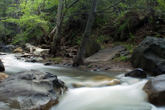 Michael Fuchs 041011 (2)