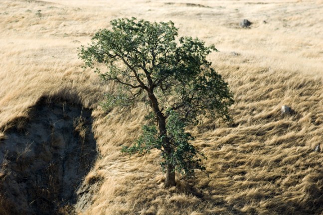 Michael Fuchs 041512 (2)