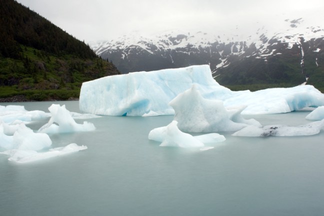 Michael Fuchs 041512 (4)