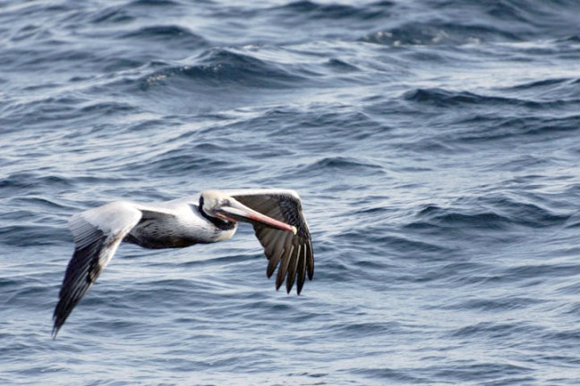 Michael Fuchs 041711 (2)