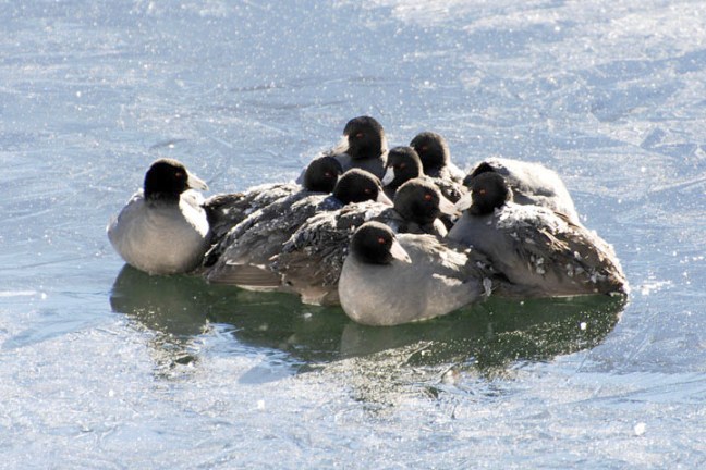 Michael Fuchs 041711 (4)