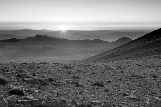 Michael Fuchs 042212 (2)