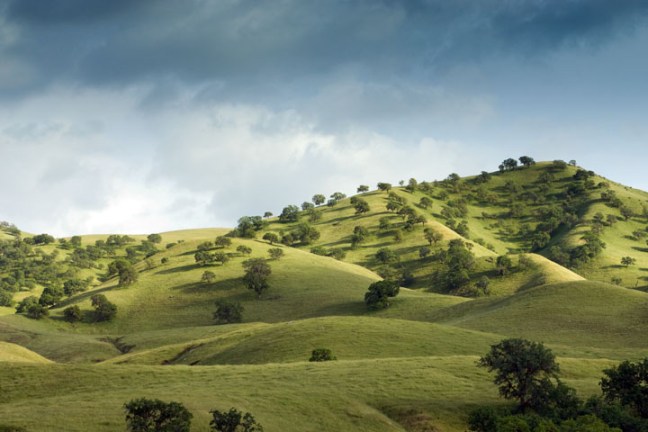 Michael Fuchs 050111 (1)