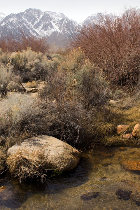 Michael Fuchs 050111 (2)