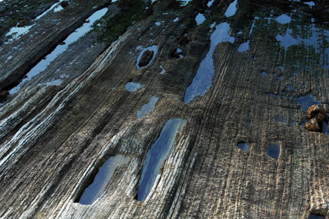 Michael Fuchs 050612 (2)