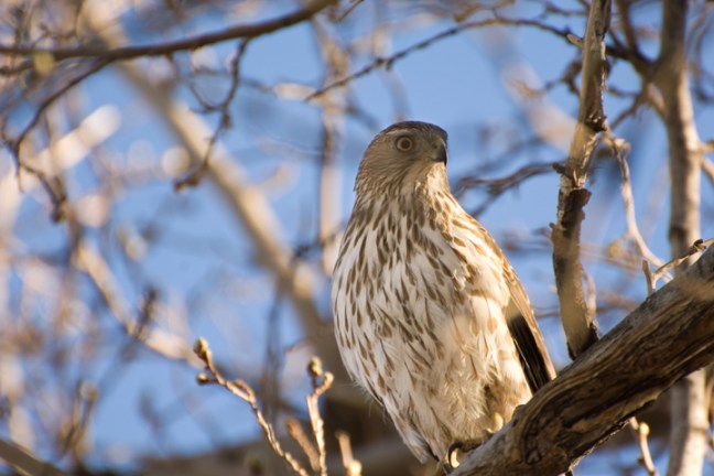 Michael Fuchs 050612 (5)