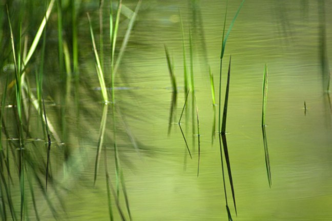 Michael Fuchs 050811 (1)