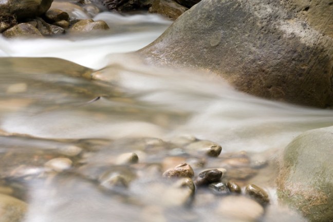 Michael Fuchs 050811 (3)