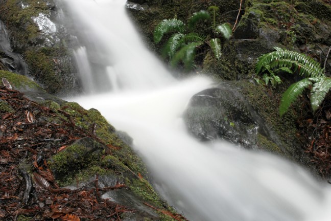 Michael Fuchs 050811 (4)