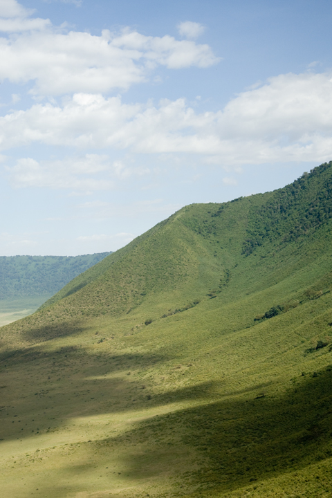 Michael Fuchs 051312 (2)