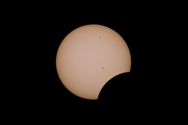 Michael Fuchs 052012 (2)