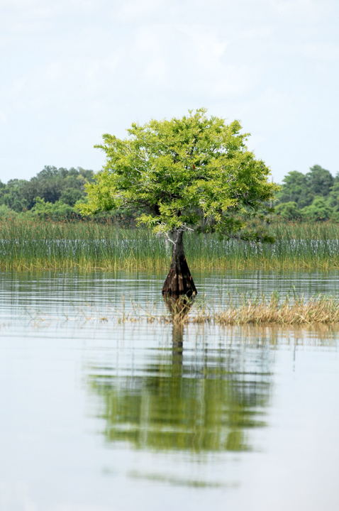 Michael Fuchs 052211 (2)