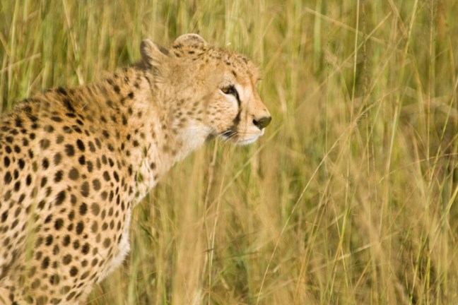 Michael Fuchs 052712 (1)