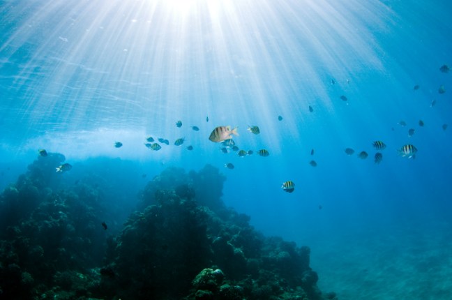 Michael Fuchs 052712 (3)