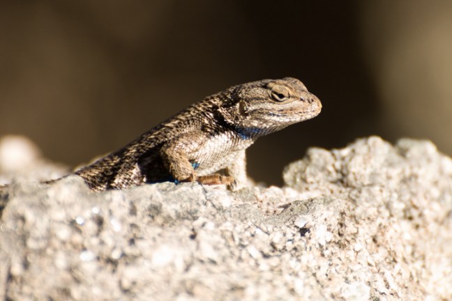 Michael Fuchs 052712 (4)