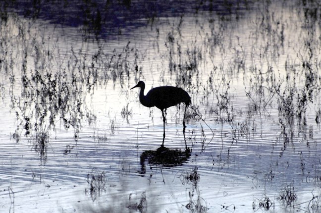 Michael Fuchs 052911 (5)