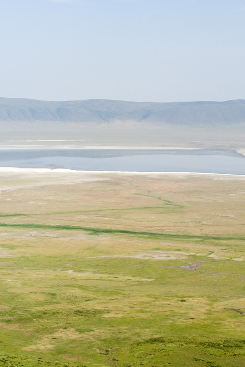 Michael Fuchs 060312 (2)