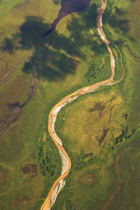 Michael Fuchs 060312 (4)