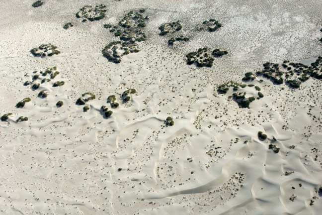 Michael Fuchs 060312 (5)