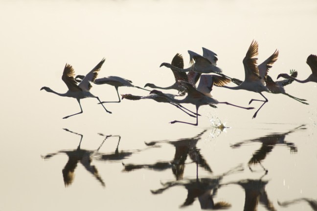 Michael Fuchs 061012 (1)