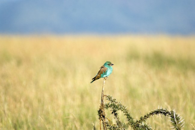 Michael Fuchs 061012 (3)