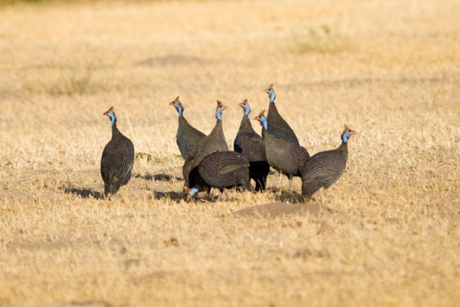 Michael Fuchs 061012 (4)