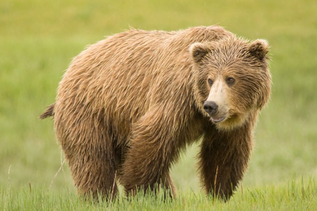 Michael Fuchs 061211