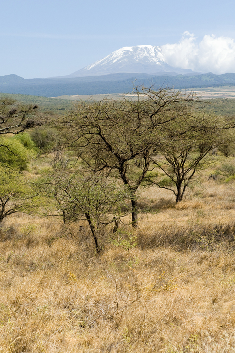 Michael Fuchs 061712 (2)