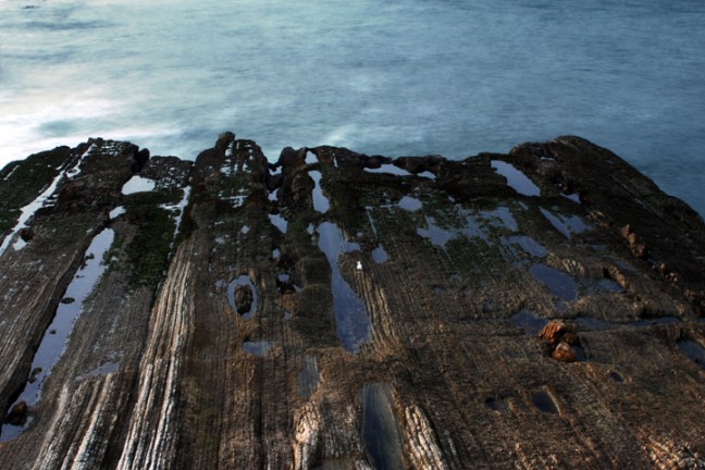 Michael Fuchs 062412 (1)