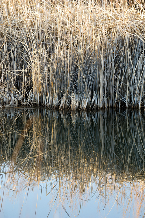 Michael Fuchs 062412 (4)