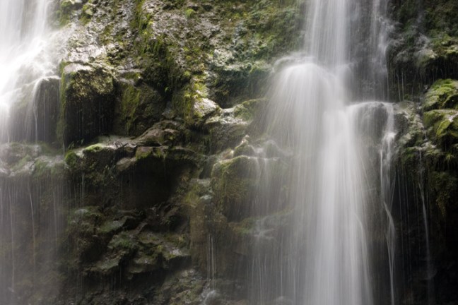 Michael Fuchs 062412 (5)