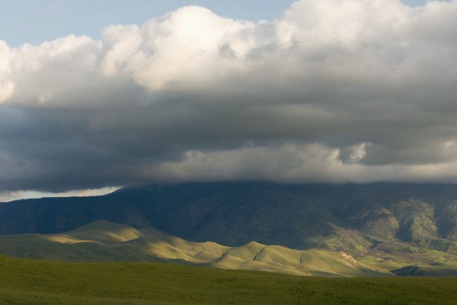 Michael Fuchs 062611 (5)