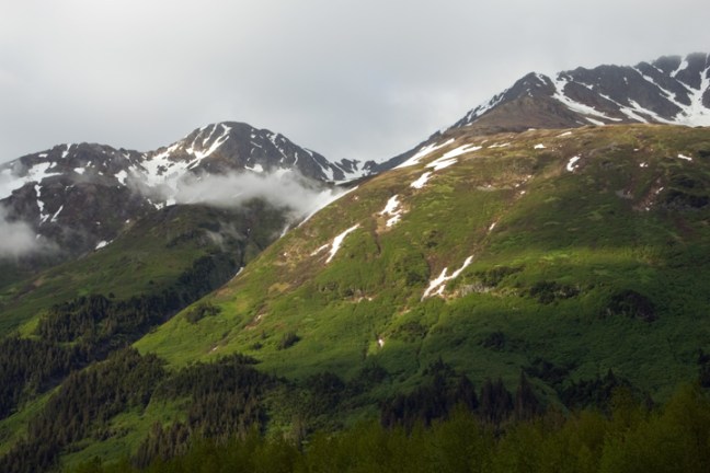 Michael Fuchs 070311 (5)