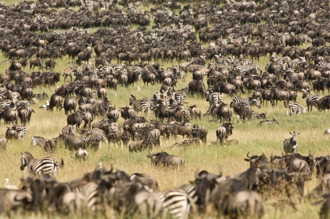 Michael Fuchs 070812