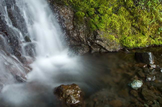 Michael Fuchs 071512 (1)