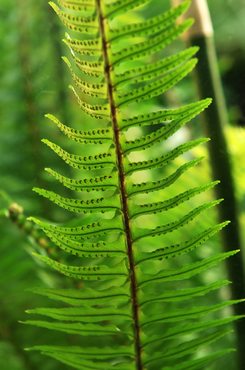 Michael Fuchs 071711 (3)