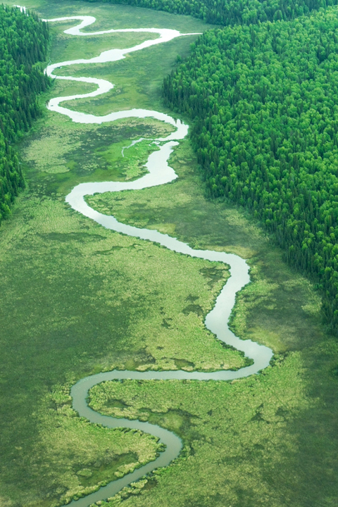 Michael Fuchs 071711 (5)