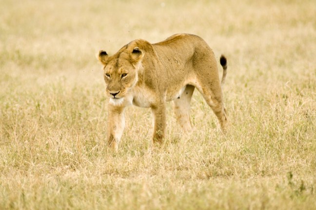 Michael Fuchs 072212 (1)