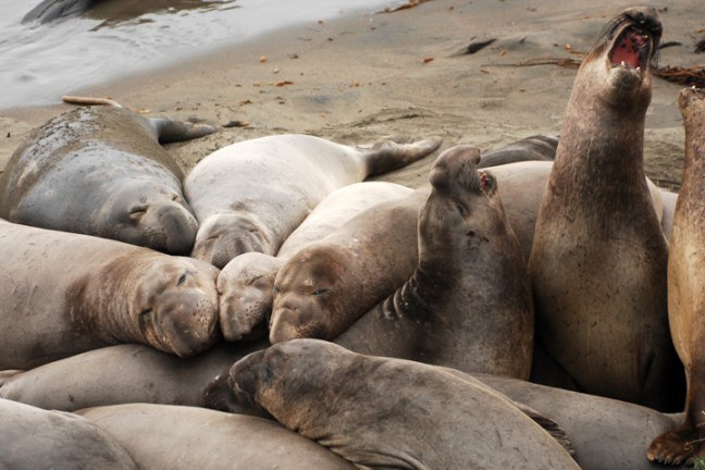 Michael Fuchs 072212 (2)