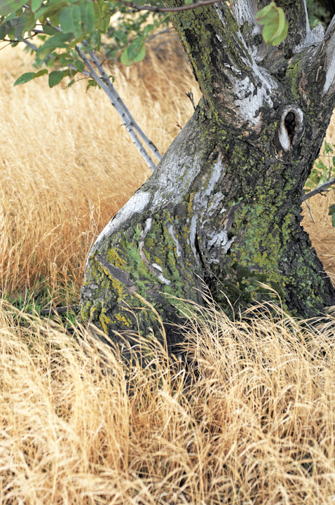 Michael Fuchs 072411 (2)