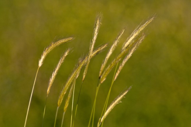 Michael Fuchs 072411 (5)