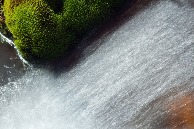 Michael Fuchs 073111 (2)