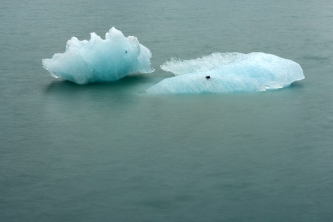 Michael Fuchs 073111 (3)