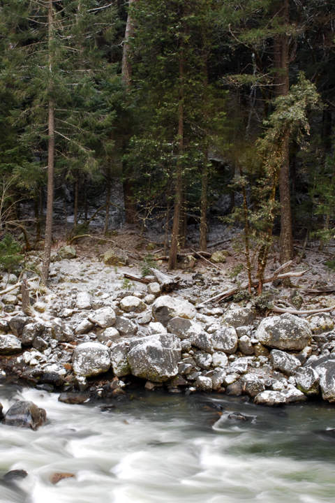 Michael Fuchs 073111 (4)