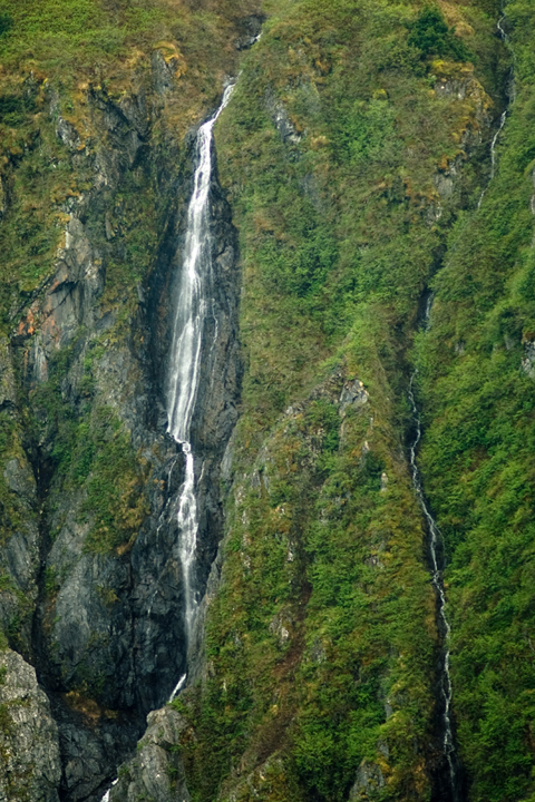 Michael Fuchs 081411 (1)