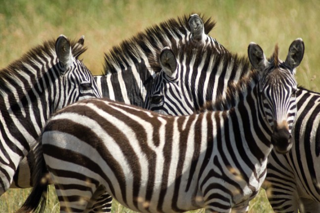 Michael Fuchs 082612 (1)