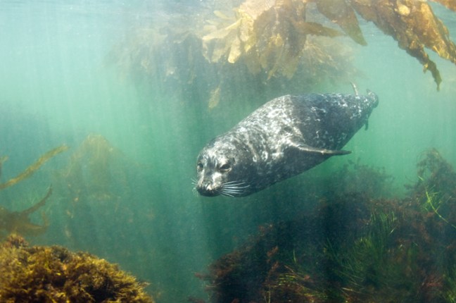 Michael Fuchs 082612 (5)