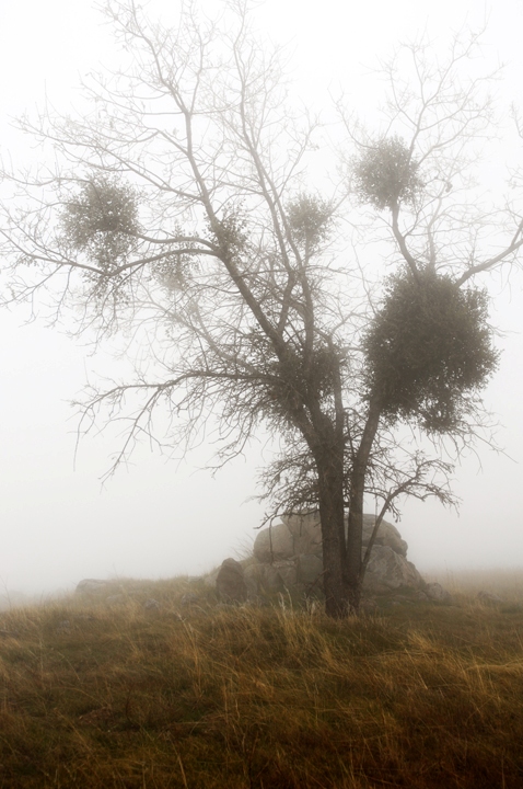 Michael Fuchs 090411 (3)