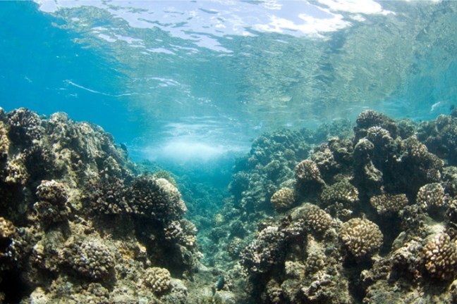 Michael Fuchs 090912 (2)