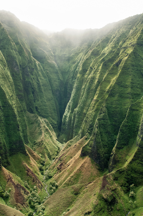 Michael Fuchs 100415 (1)